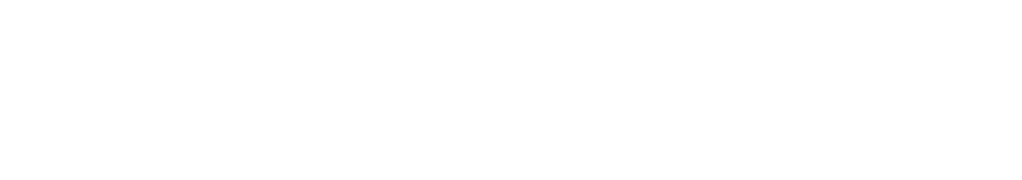 元衆議院議員 山本わかこ