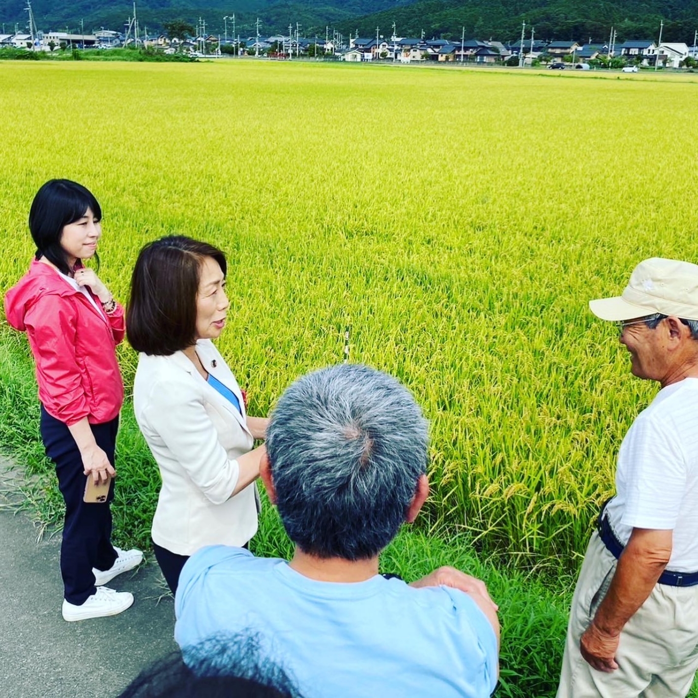 農林水産業で地方の再興を