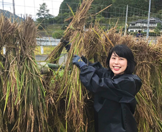 福知山市「居母山クラブ」の田んぼアートの稲刈り体験に参加。