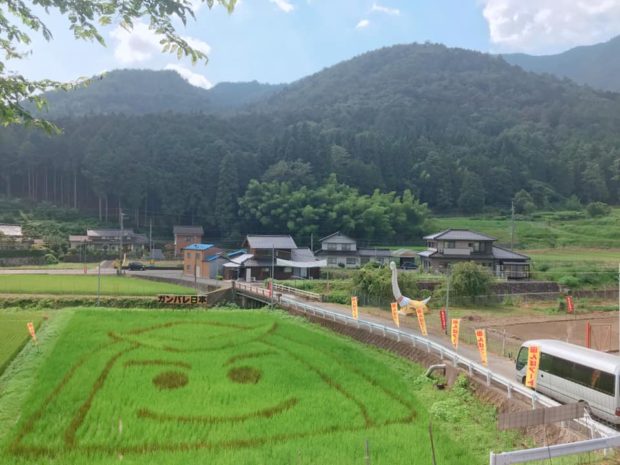 夜久野居母山クラブの休耕田を利用したどろんこドッチボール大会