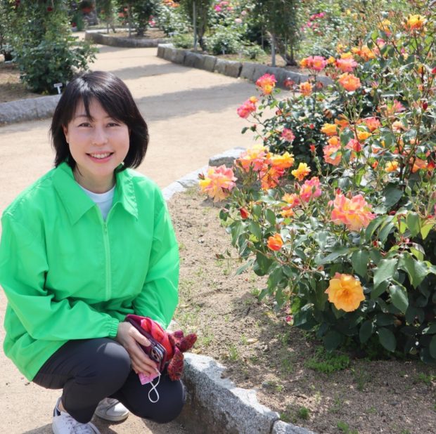 綾部バラ園「春のバラまつり」