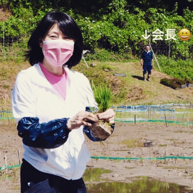 田植えのお手伝い